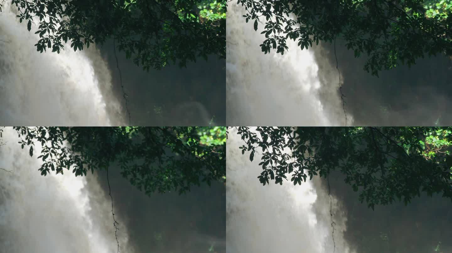 海南雨林瀑布-升格动画