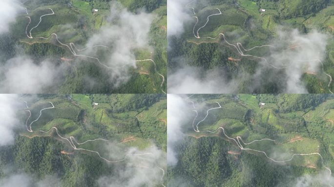 云雾缭绕 人间仙境 雨后风景