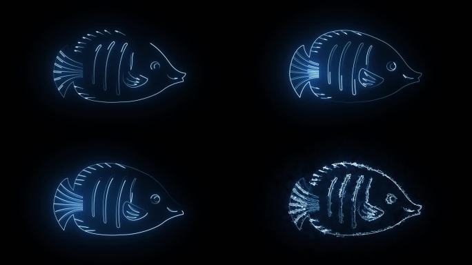 鱼轮廓描边发光