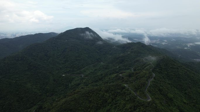 深圳阳台山森林国家公园云雾