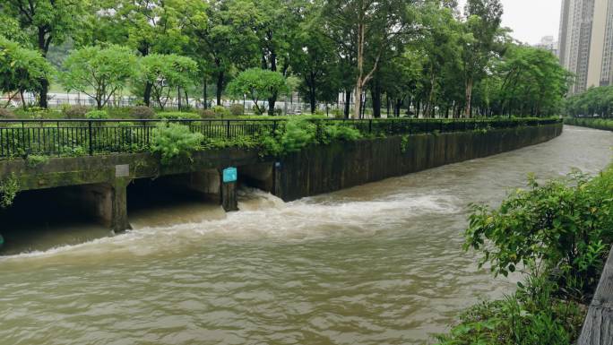 【正版素材】台风海葵登录深圳5928