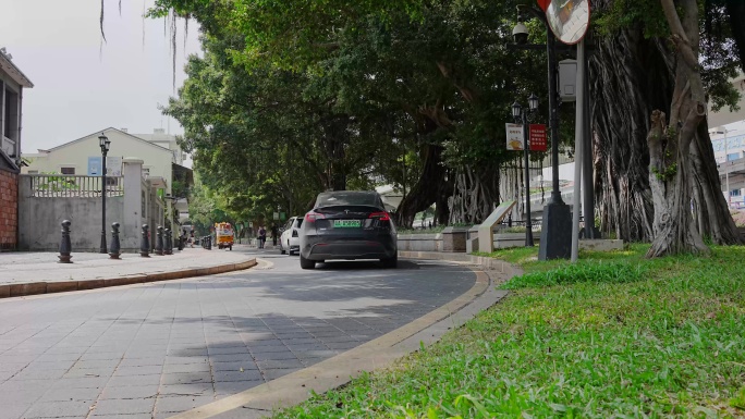 8K实拍，广州沙面街道大榕树古建筑群街景