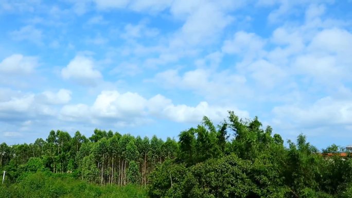 乡村风景