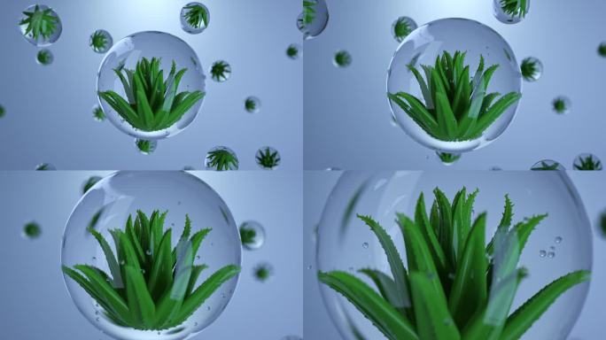 透明玻璃球内的芦荟散发精华气泡分子