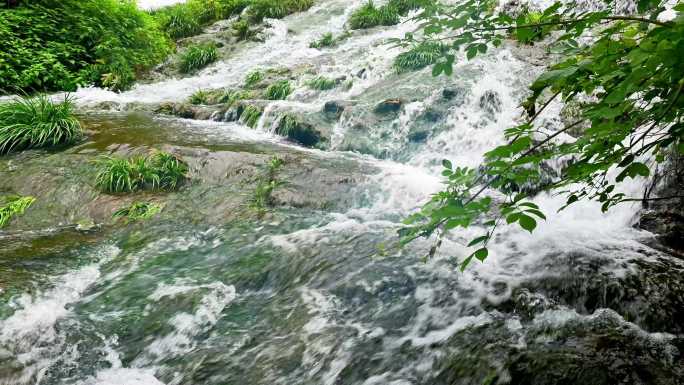 （4K合辑商用）天然山泉泉水流水小溪溪流