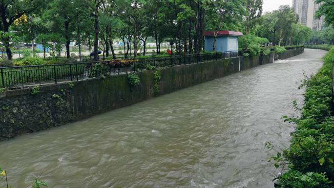 【正版素材】台风海葵登录深圳5926