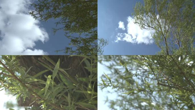 C陕西靖边波浪谷植被空镜头高清实拍视频