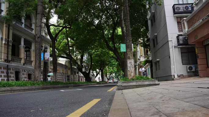8K实拍，广州沙面内街古建筑群及参天大树