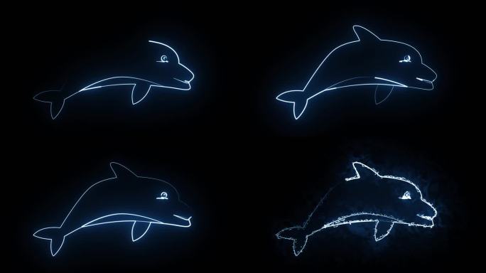 海豚图形轮廓描边发光
