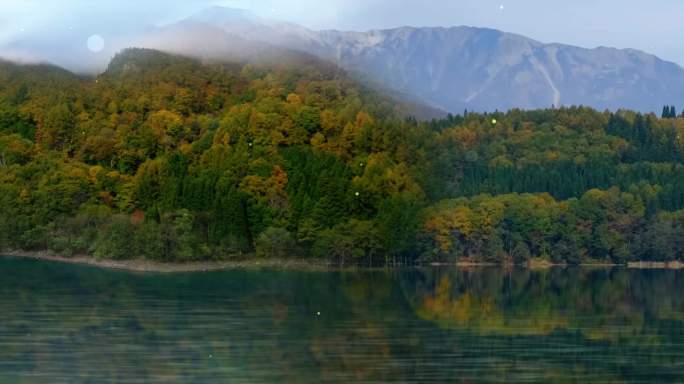 自然风景，四季变化