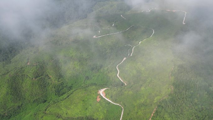 云雾缭绕 人间仙境 雨后风景