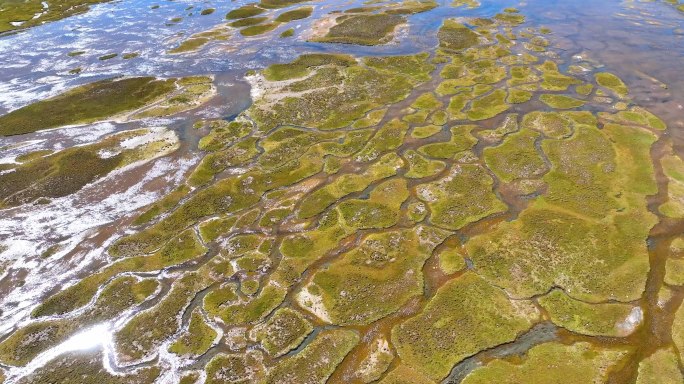 阿里地区的湿地沼泽