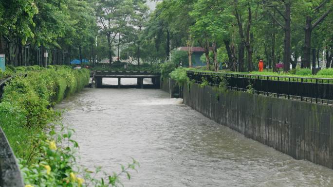 【正版素材】台风海葵登录深圳5932