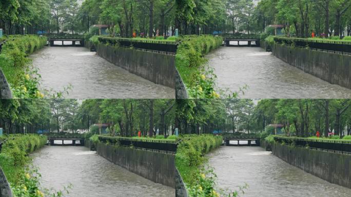 【正版素材】台风海葵登录深圳5932