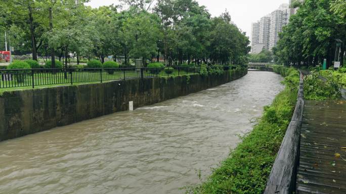 【正版素材】台风海葵登录深圳5929