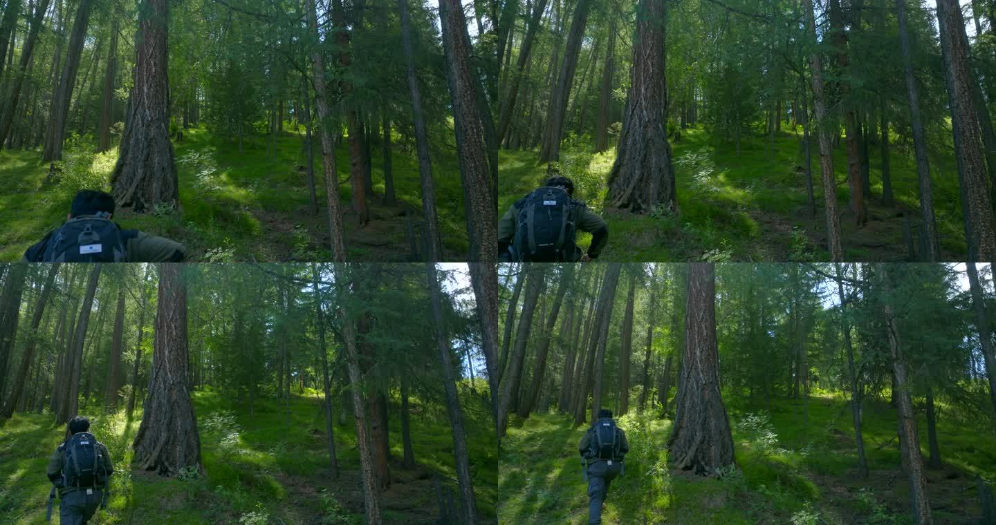 原始森林 摄影师 徒步 光影2