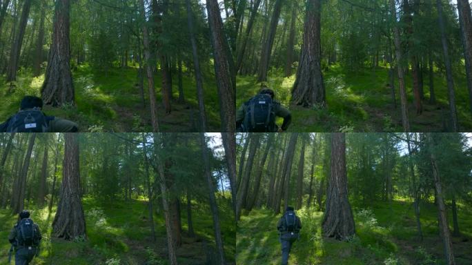 原始森林 摄影师 徒步 光影2