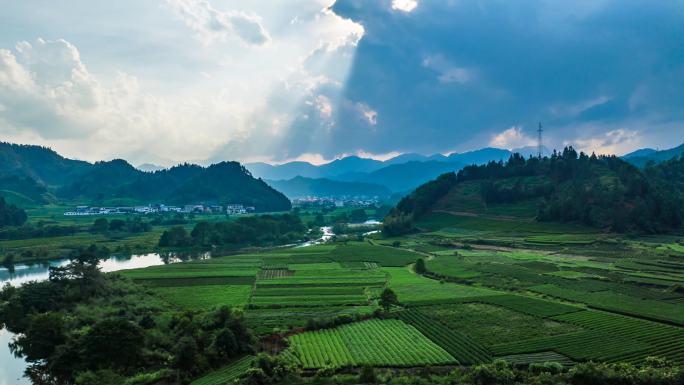 武夷山 茶园 落日  溪流 延时