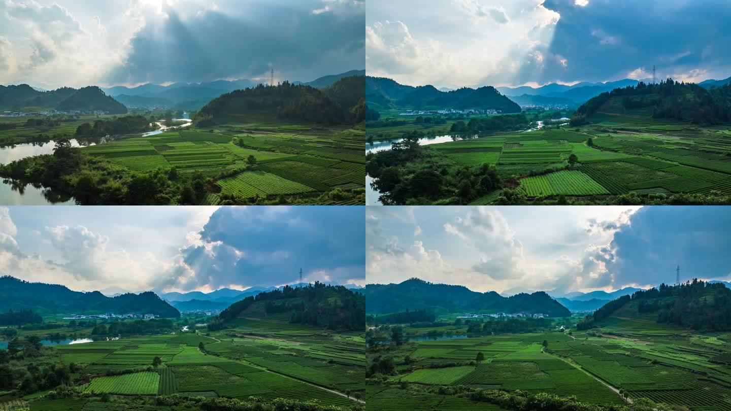 武夷山 茶园 落日  溪流 延时