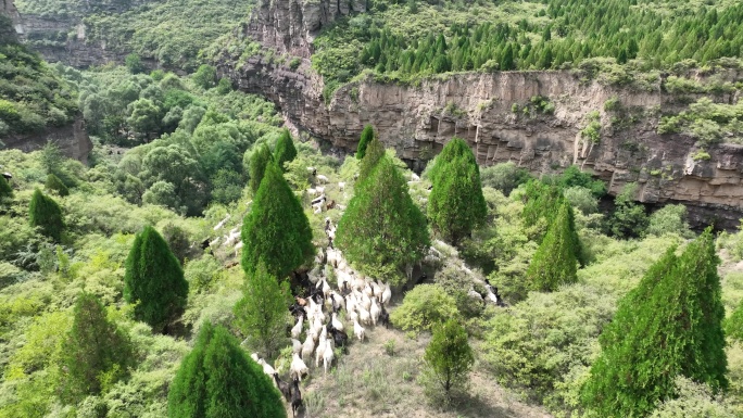 山西 临汾 吉县 柿子滩 遗址 航拍