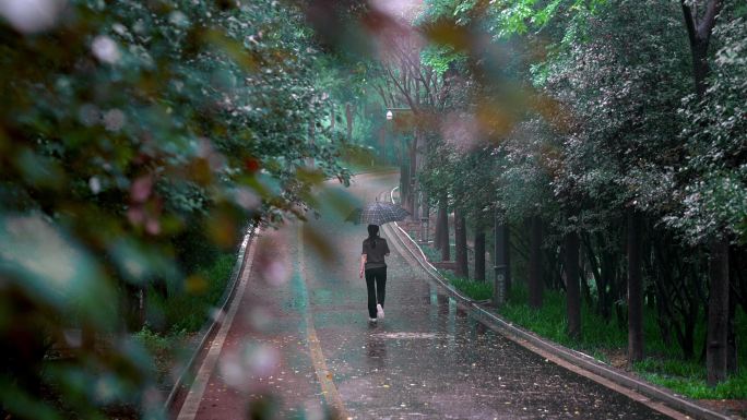 雨中漫步