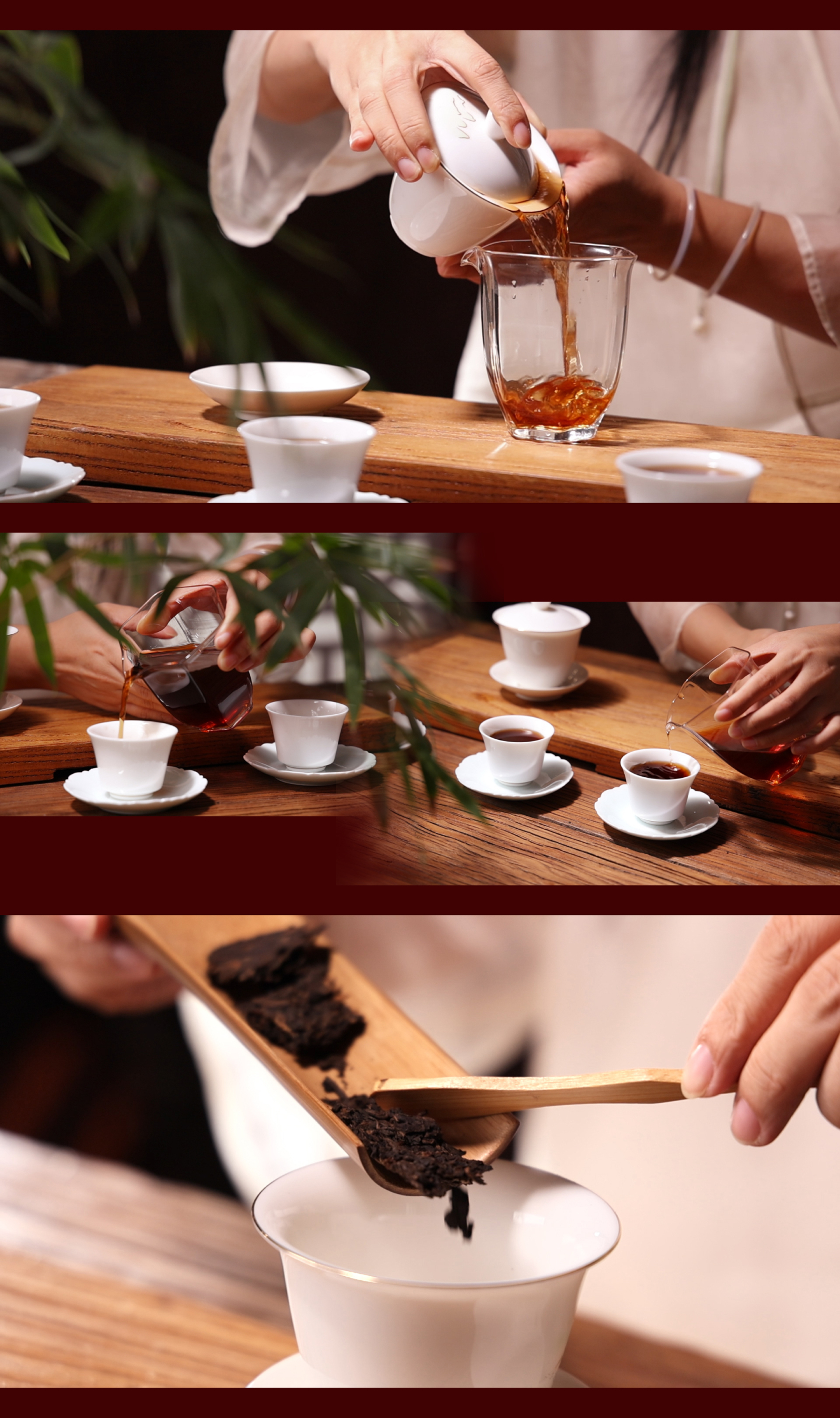 茶艺师冲泡普洱熟茶