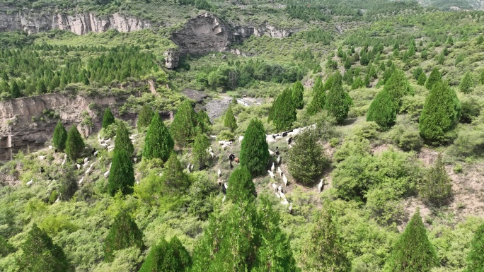 山西 临汾 吉县 柿子滩 遗址 航拍