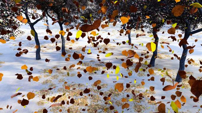 晚秋不断飘落的枯黄树叶