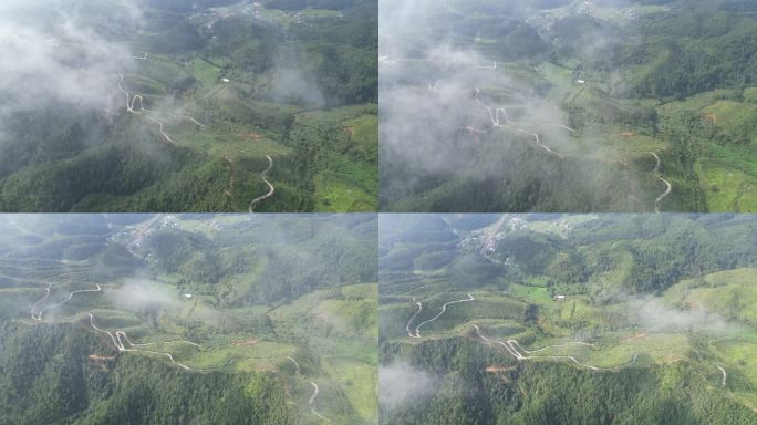 云雾缭绕 人间仙境 雨后风景