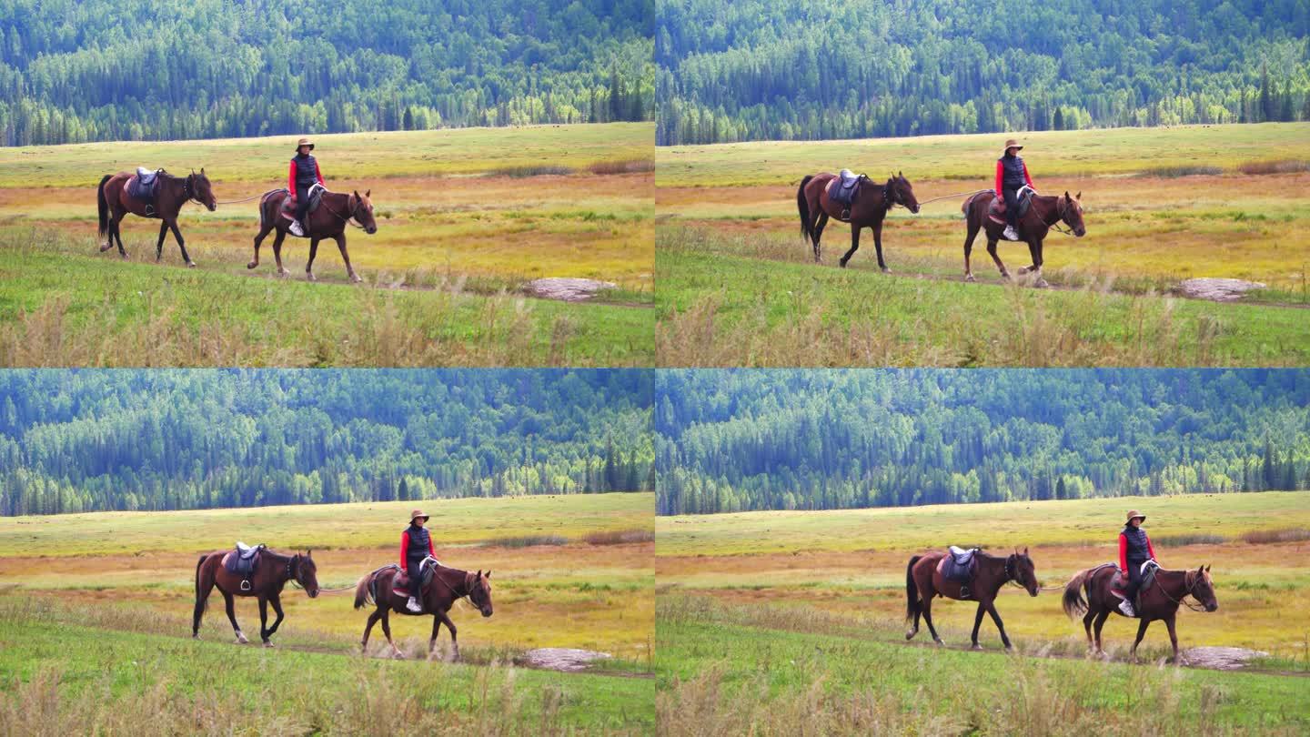 新疆 草地 骑马 遛马 牵马 牧民