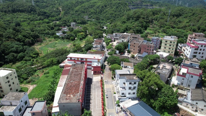 【正版素材】深圳坪山区金龟村