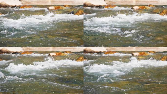 可可托海 新疆 小溪 山泉 泉水 清澈