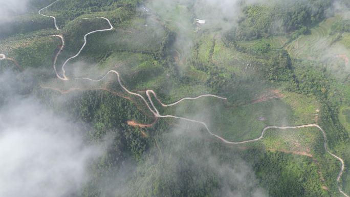 云雾缭绕 人间仙境 雨后风景