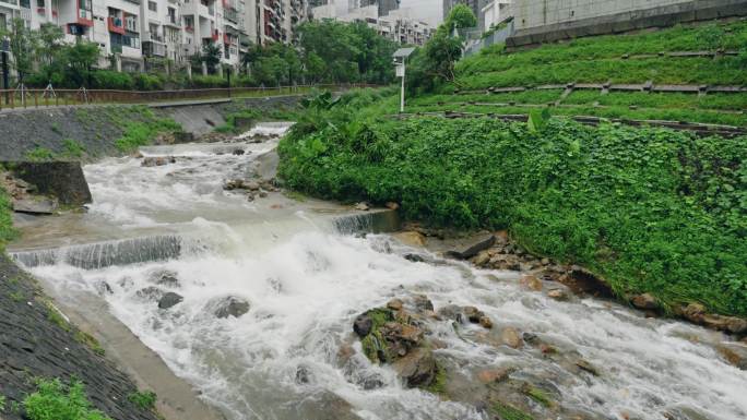 【正版素材】台风海葵登录深圳5921