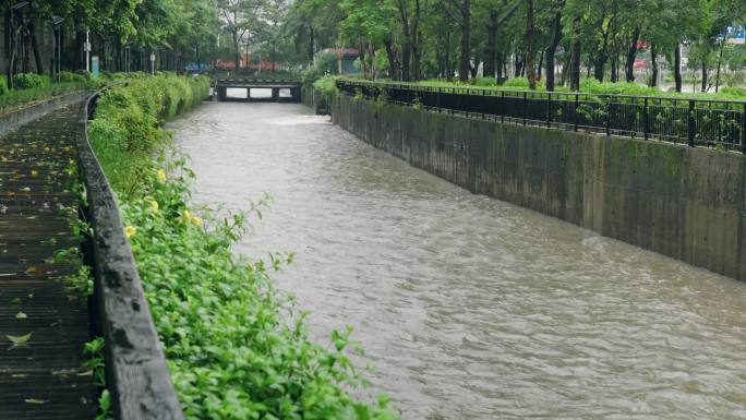 【正版素材】台风海葵登录深圳5933