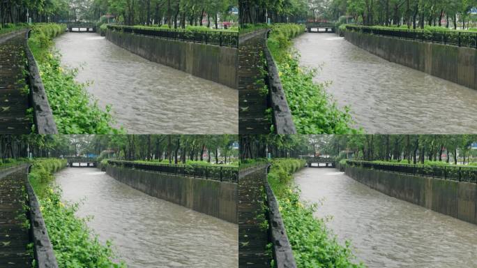 【正版素材】台风海葵登录深圳5933