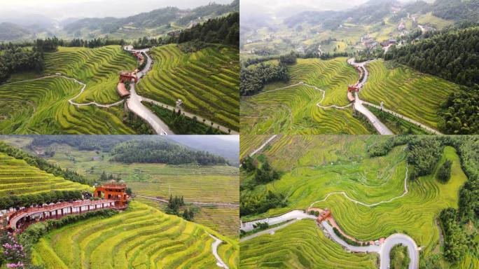 片头中秋国庆水墨山水梯田秋景紫鹊界航拍