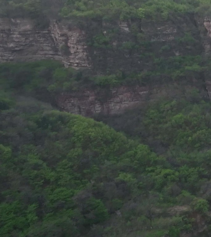 高清竖屏航拍河南山东麓林州太行山美丽山色