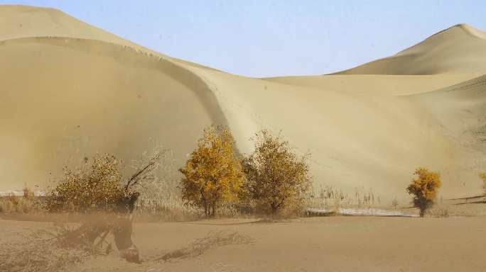 沙漠 戈壁 黄沙 沙尘 风沙
