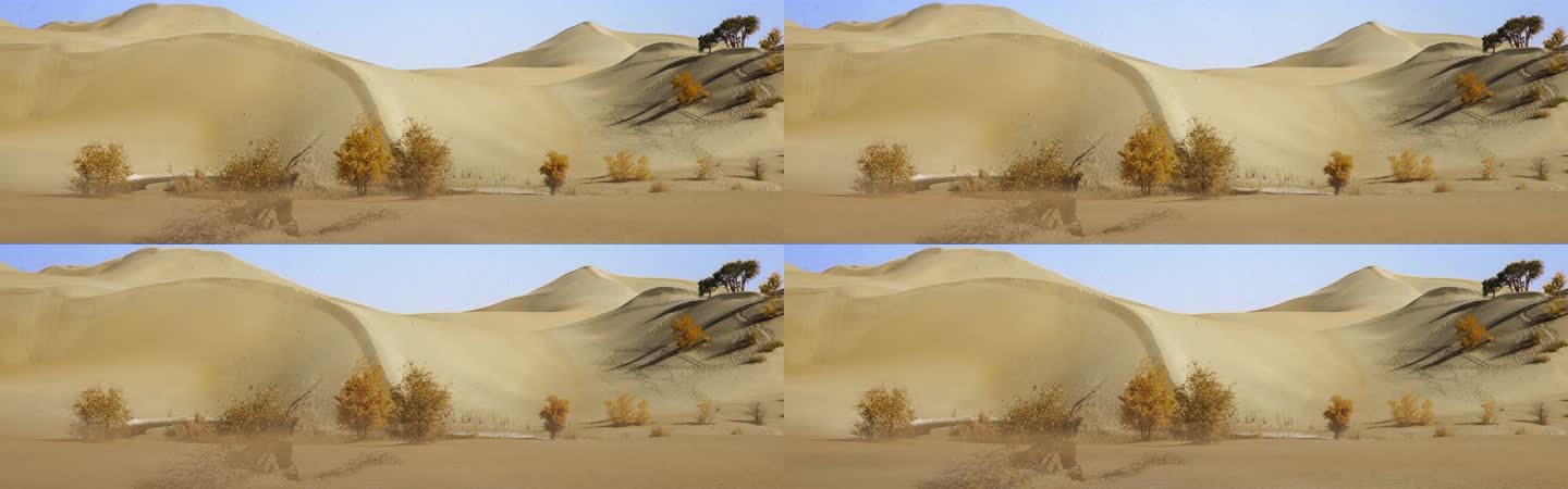 沙漠 戈壁 黄沙 沙尘 风沙