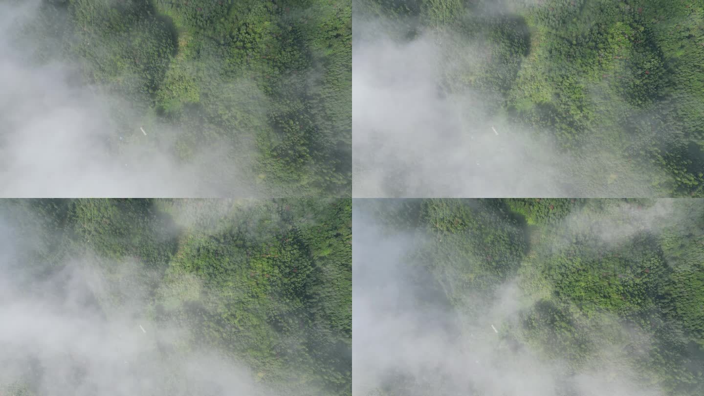 云雾缭绕 人间仙境 雨后风景