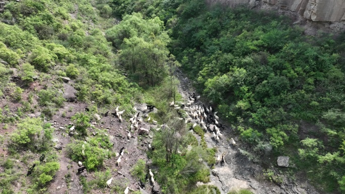 山西 临汾 吉县 柿子滩 遗址 航拍