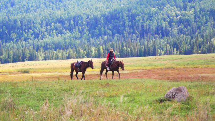 新疆 草地 骑马 遛马 牵马 牧民