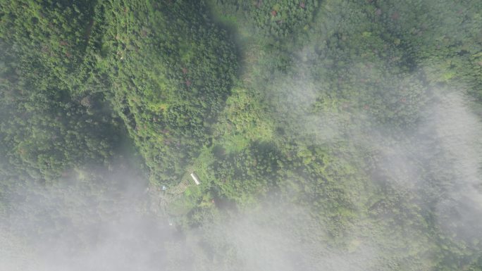 云雾缭绕 人间仙境 雨后风景