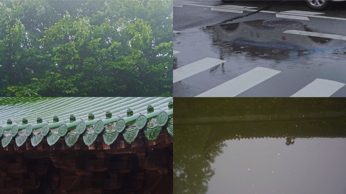 【原创】雨天空镜头