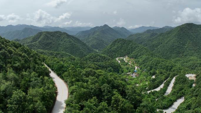 秦岭山脉 生态山林