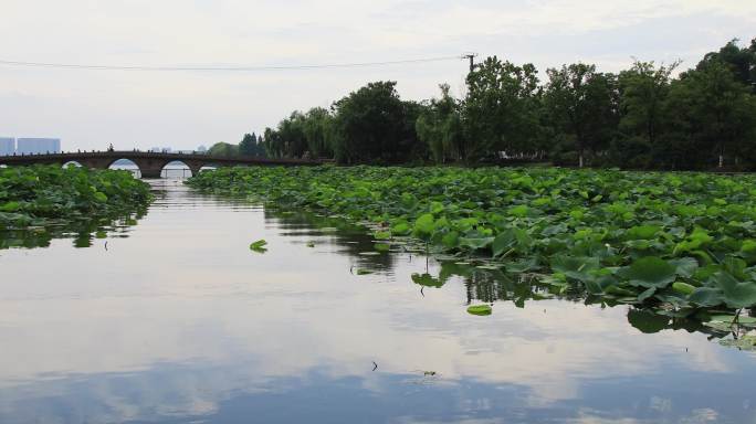 【合集】苏州石湖风景区