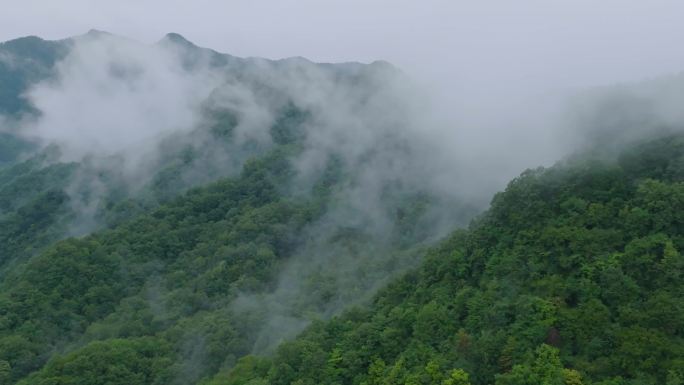 山间云雾航拍