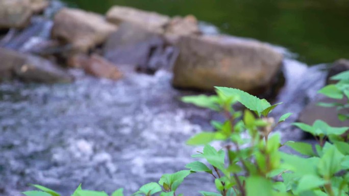 溪水河流变焦近景5个镜头4K