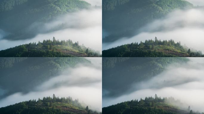 福建福州永泰山区森林云海云瀑延时空镜